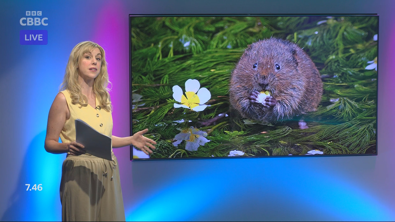 Newsround_20250806_07450755.ts_snapshot_06.31.511