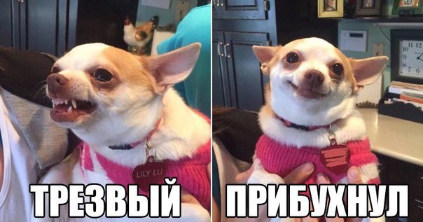 r9TjCe4rxyA