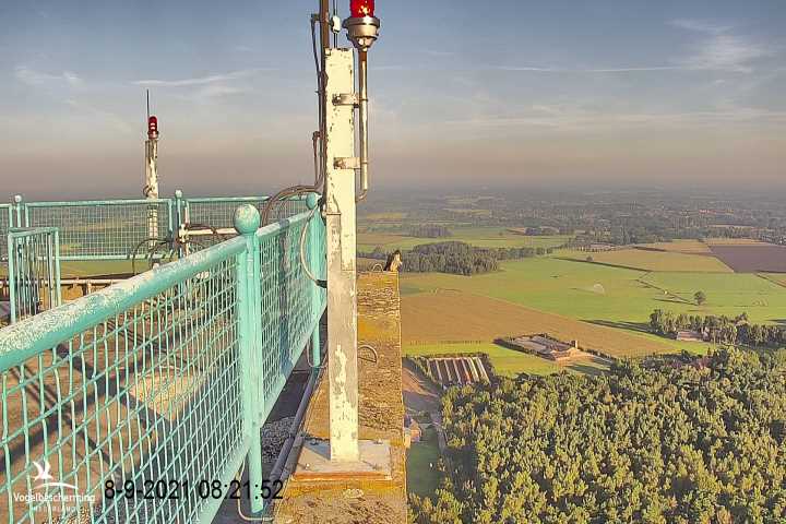 campics vanaf 1 juli © VWGGemert en bonusjes van ter plekke - Pagina 25 M1