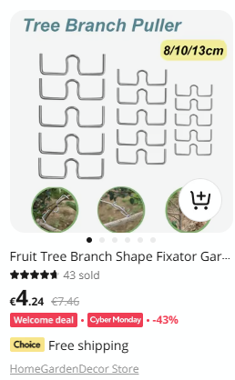 Screenshot 2024-12-02 085613