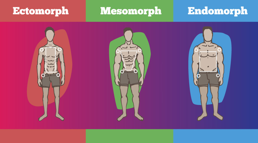 Metabolism என்றால் என்ன? Metobolism