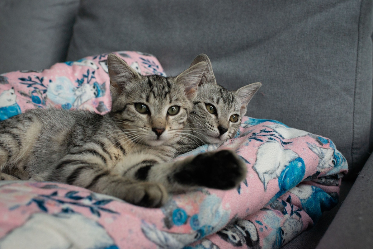 D48FB93D-323E-4F34-BBB5-4F78F43A11AA