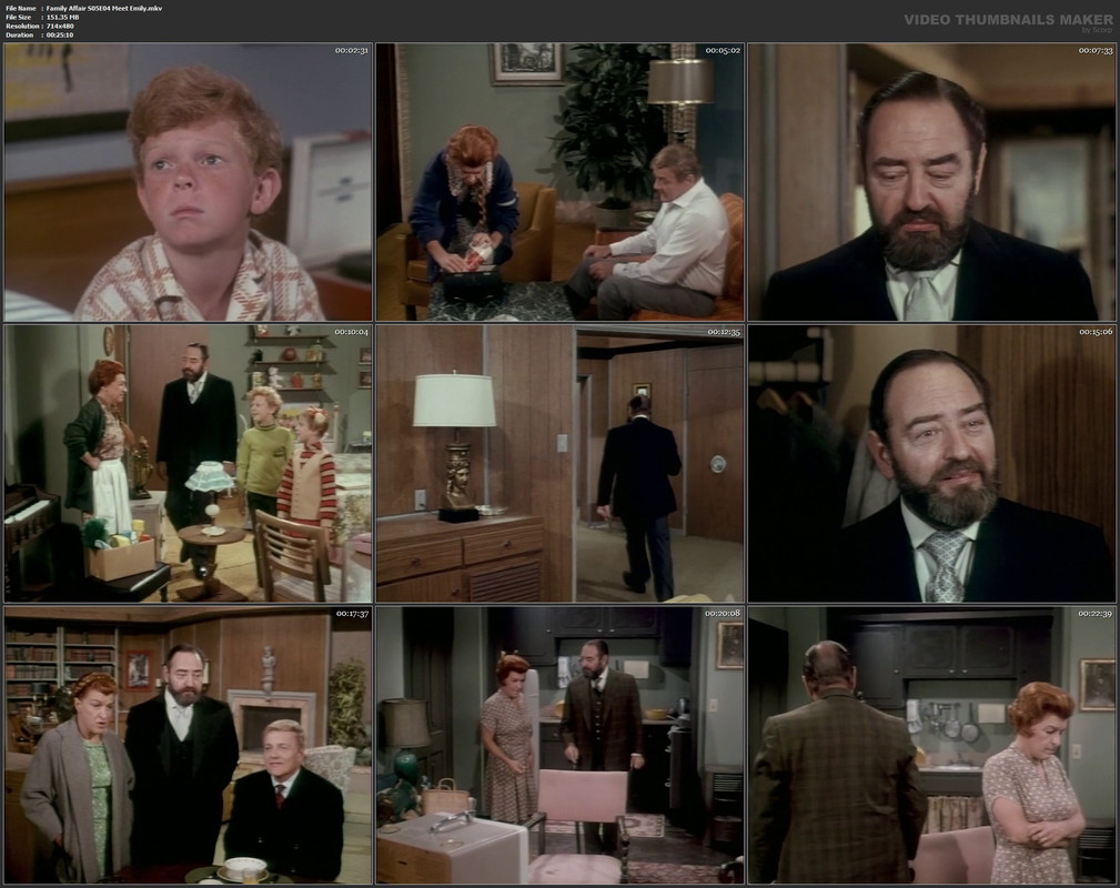 Family Affair S05E04 Meet Emily.mkv