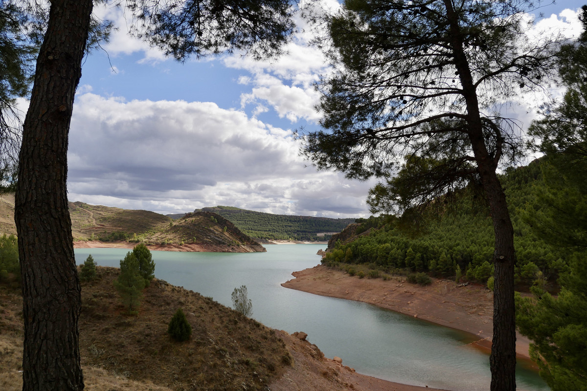 80C3013C-18B2-46C3-9CAE-D5507D960B32