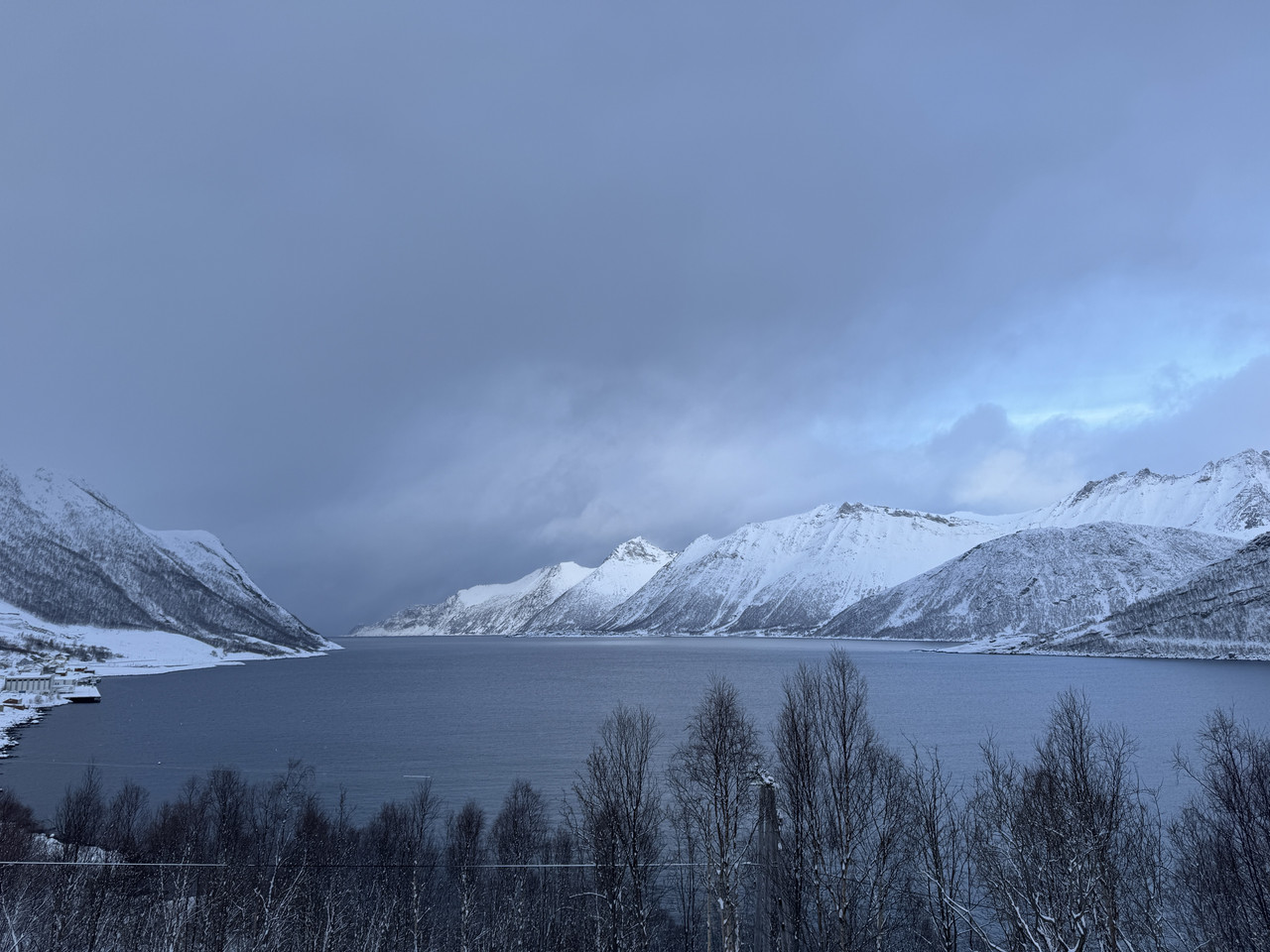 [Immagine: IMG_8365.jpg]