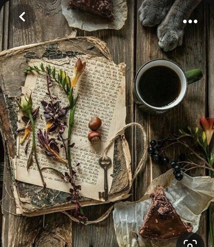 Screenshot_20231015_214510_Pinterest