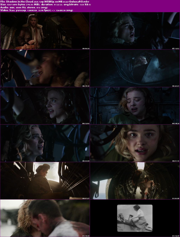 Shadow-in-the-Cloud-2020-720p-WEBRip-800-MB-x264-Galaxy-RG.jpg