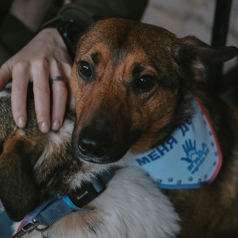 BB7FDDCB-FE11-4476-AEDD-D1E42F06290B