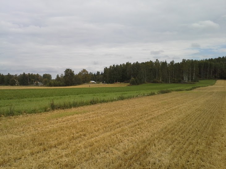 osku