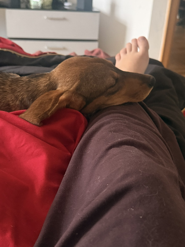 IMG 784745d126a562a4394f56ebf563ddbc V