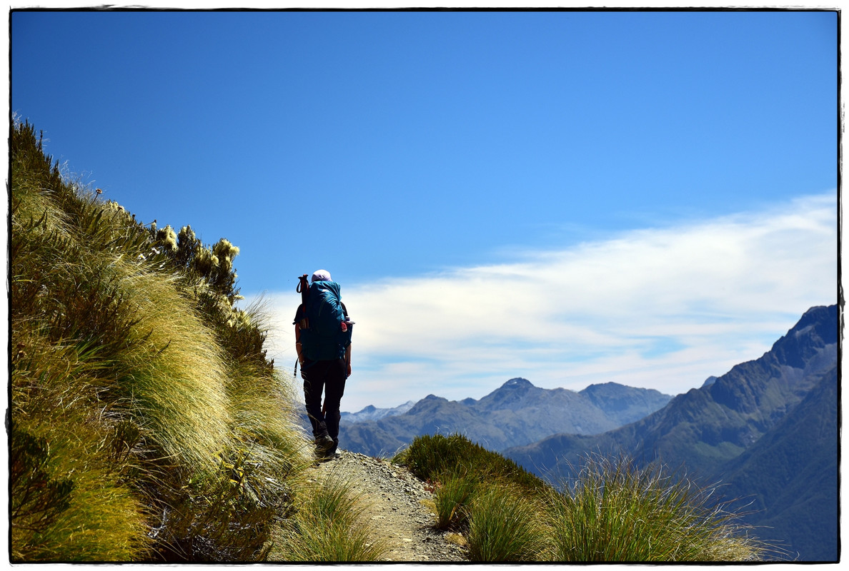 Fiordland NP: Kepler Track (febrero 2022) - Escapadas y rutas por la Nueva Zelanda menos conocida (32)