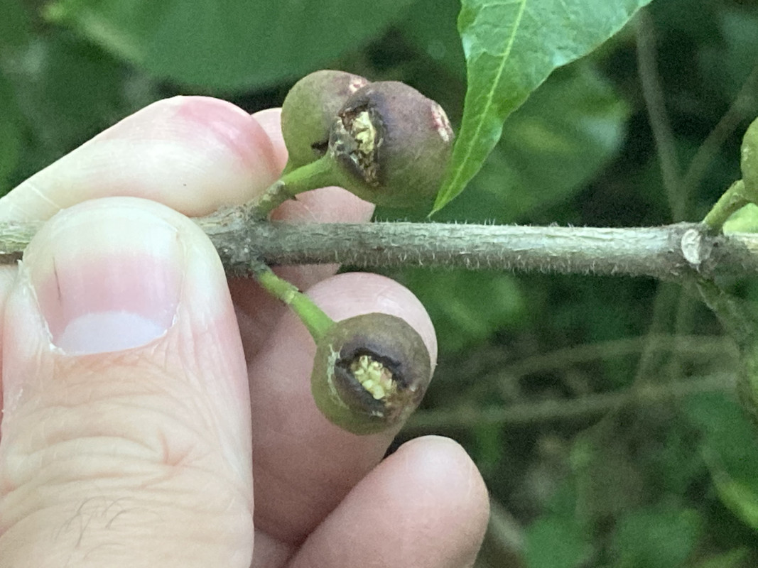 92A51E84-6FD9-4DEE-ACBB-95ABE355220E