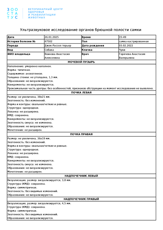 Ultrazvukovoe_issledovanie_organov_bryushnoy_polosti_samki_1737896101