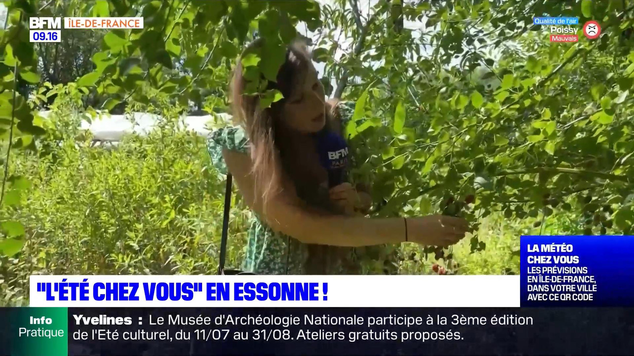 vlc-record-2022-08-13-16h22m53s-08.13 - 07.55.51-1.m4v-.mp4_snapshot_01.53_[2022.08.13_16.51.42]