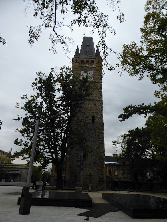 Kép