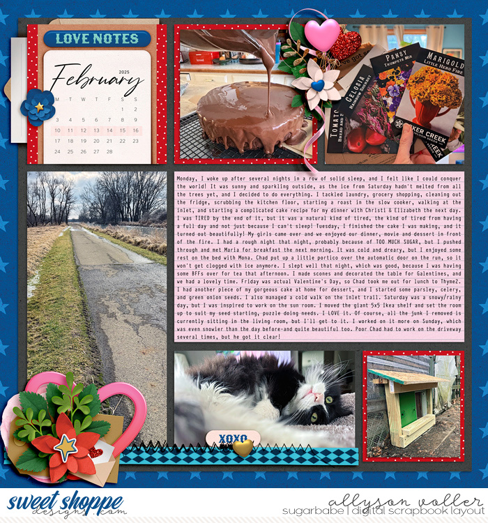allyanne_Wrapped_With_Love_left_WM.jpg