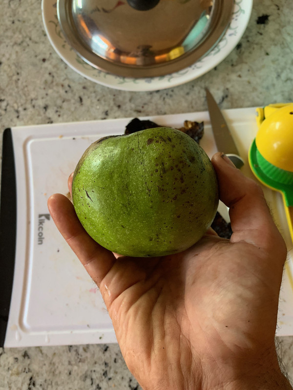 blacksapote0