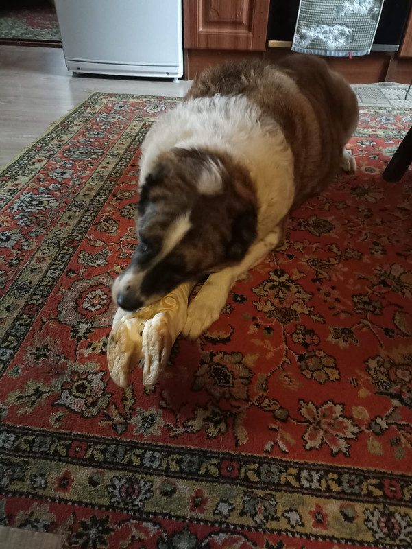 8EE6532E-7EF2-4768-A257-CA716A5D6E24