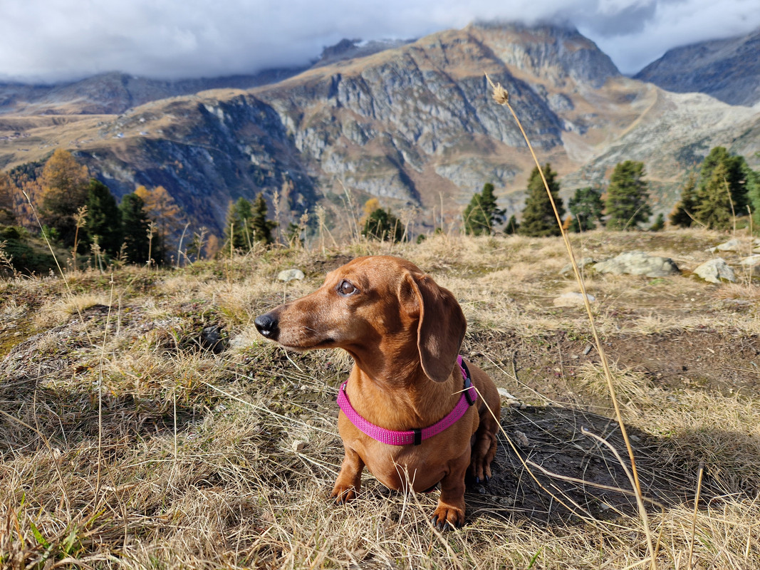 [Image: 20241027-131159.jpg]