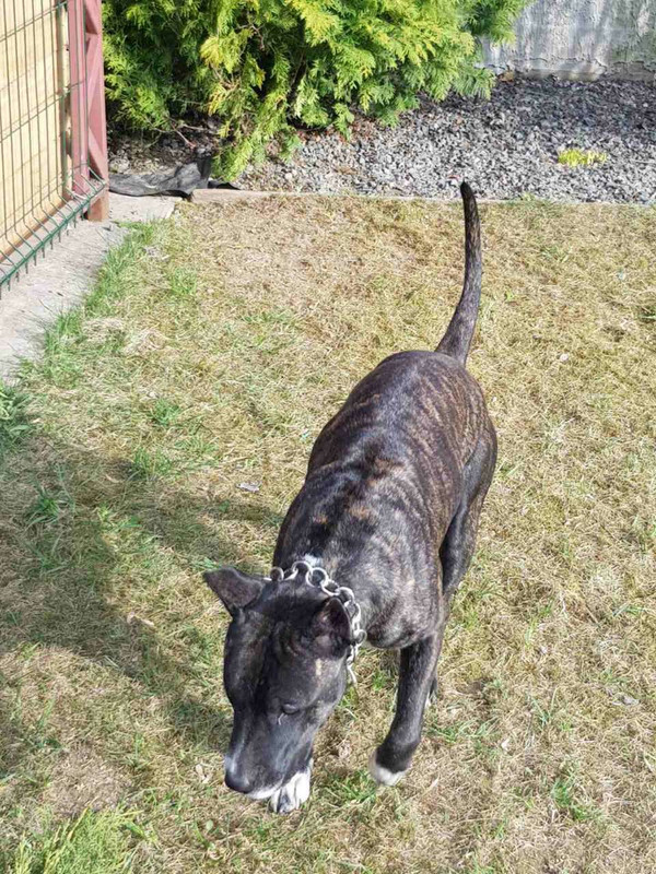 40DD24F3-5C72-4A30-89CA-4E5386276090