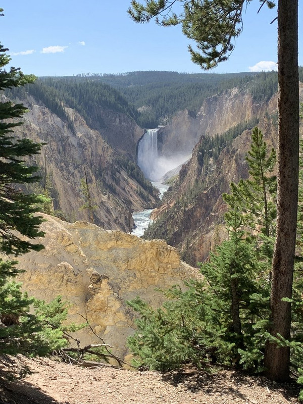 4FA4857F-CD0D-466F-8AE9-1688282E0783