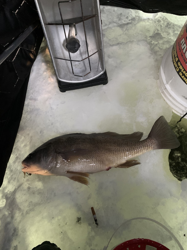 4F4F4453-8296-4F3C-AFE9-26FB1397D964