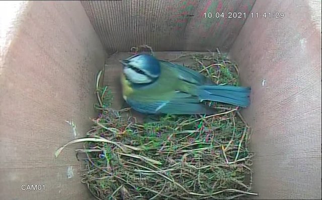 D496FC64-4F26-4605-9753-740B745A873B