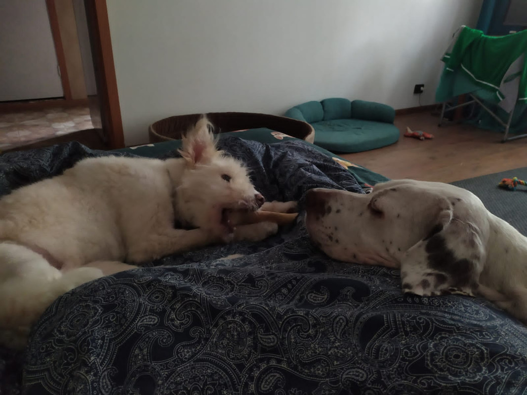 F46DA935-53BB-4650-8209-15E26D200CE6