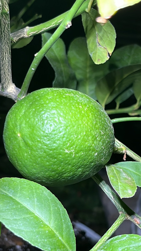 862A7FF5-2F42-4F06-A40F-A8703E346D0A