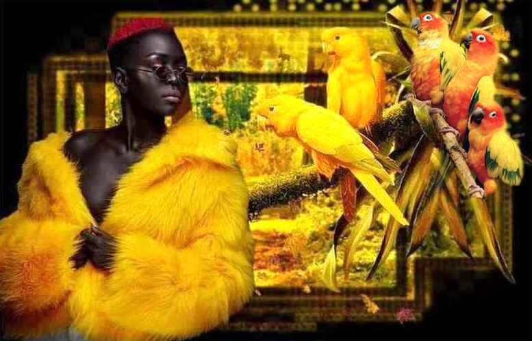 y-B9-Eo88-lau-LWJSxp-GLnkmkn3-Mw