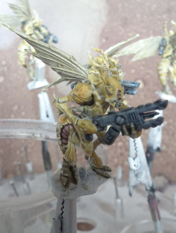 Tau-DSCF1128.jpg
