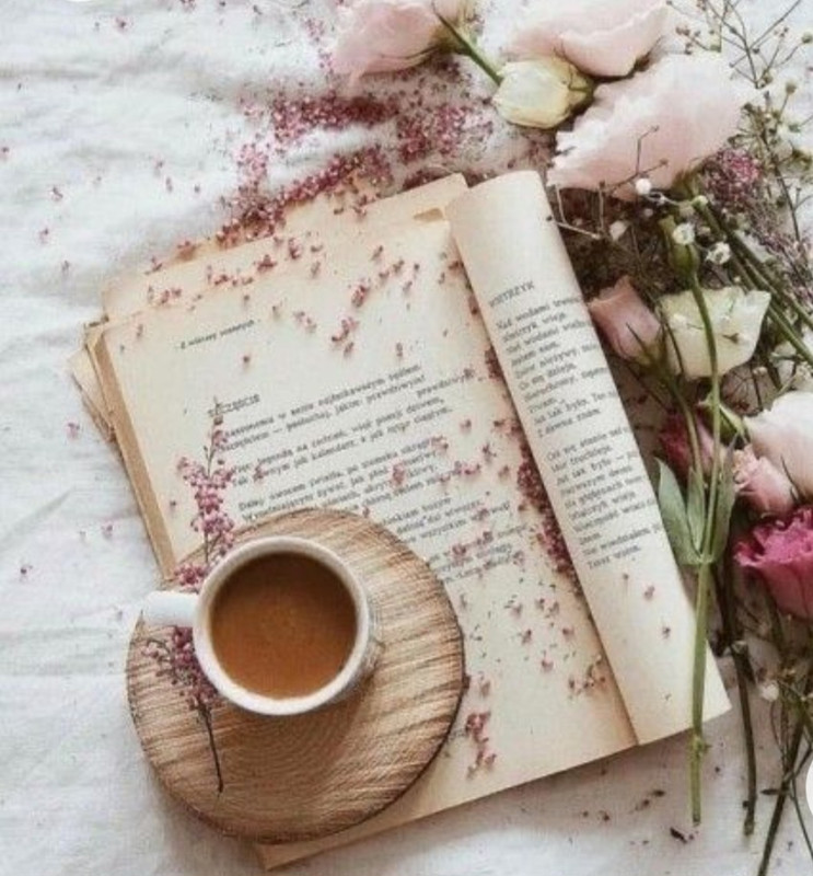 Screenshot_20230130_001530_Chrome