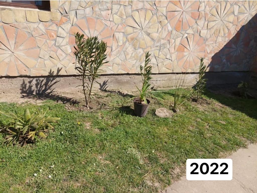 dbf8a7d0 76cf 4ea1 8286 40b12e3a94ab