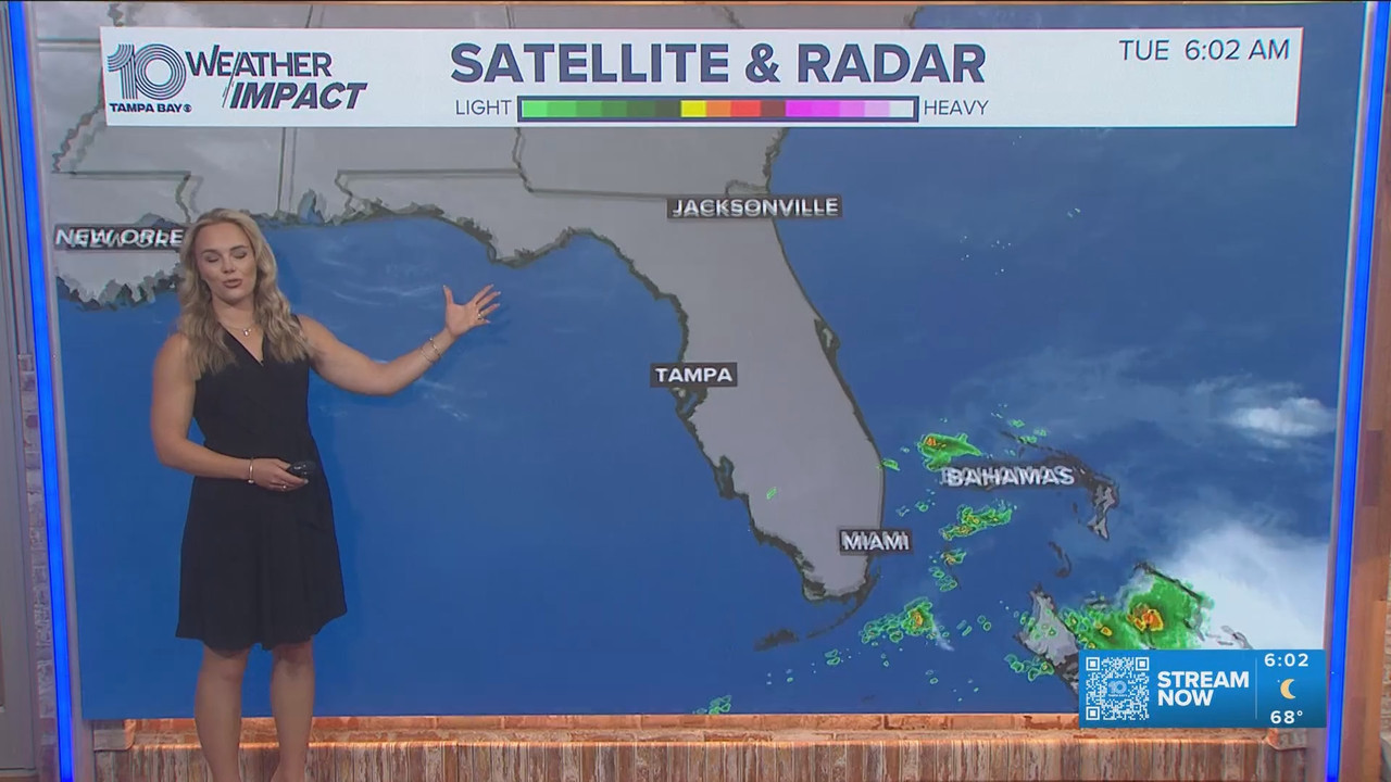 05 05 11 00 00 10 Tampa Bay News This Morning at 6 00 a m Stay i ts snapshot 00 04 14 887