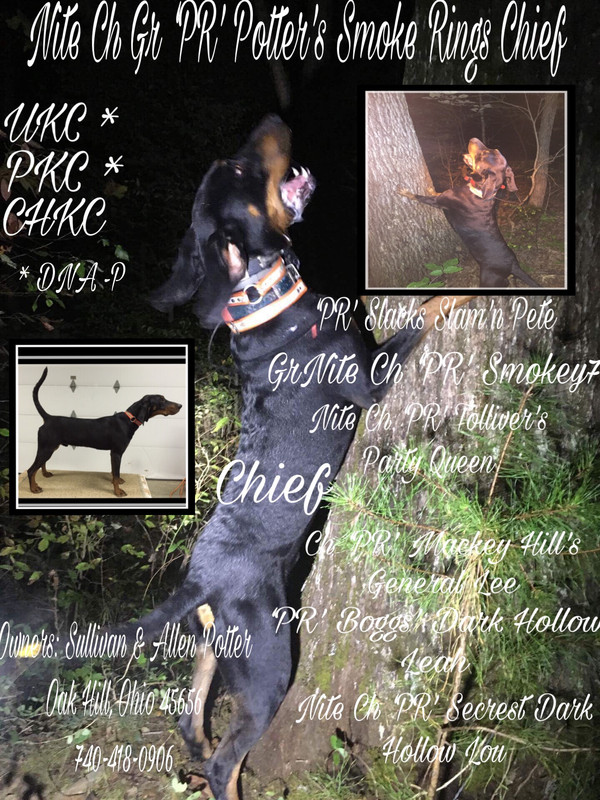 C2D4FAF3-8F6A-41CD-A9F6-78824559F83E