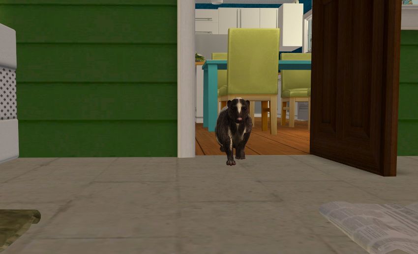 Sims2-EP9-2020-10-26-21-55-35-93
