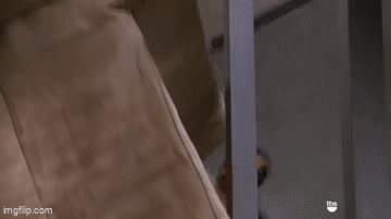 FRIENDS-Pivot.gif