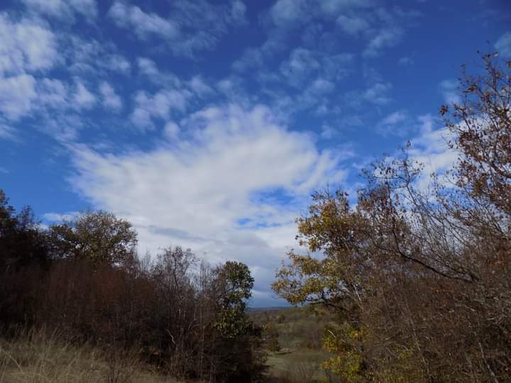 FB_IMG_1604176678060