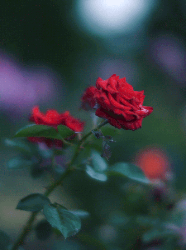 cc9899d8badb940a95f9364f8f7810e9