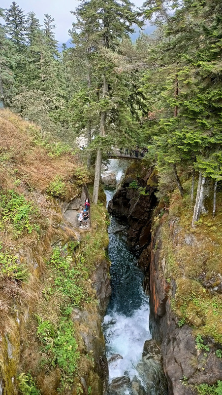 IMG20250822153728 (Large)