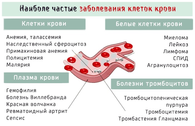 Татуаж бровей. Противопоказания, последствия, вред при беременности, месячных, лактации, диабете