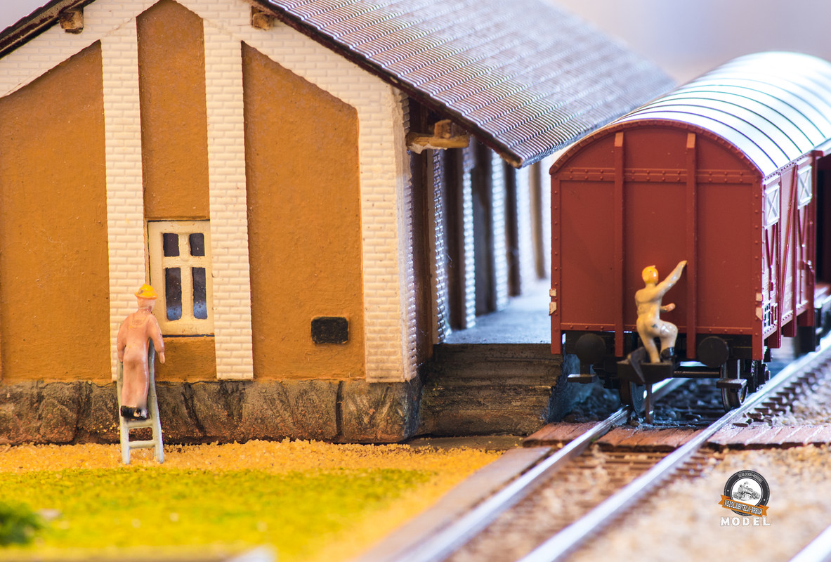 2020-02-08 Diorama Đunis