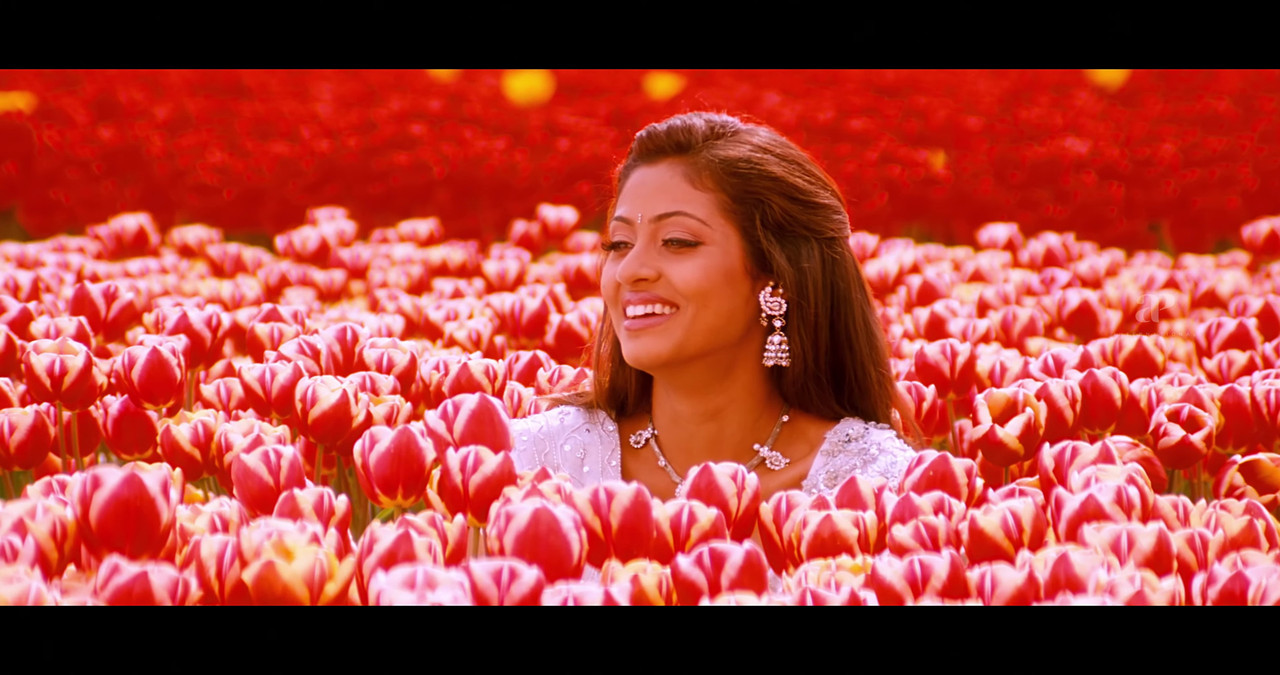 VideoCapture_20241122-195117