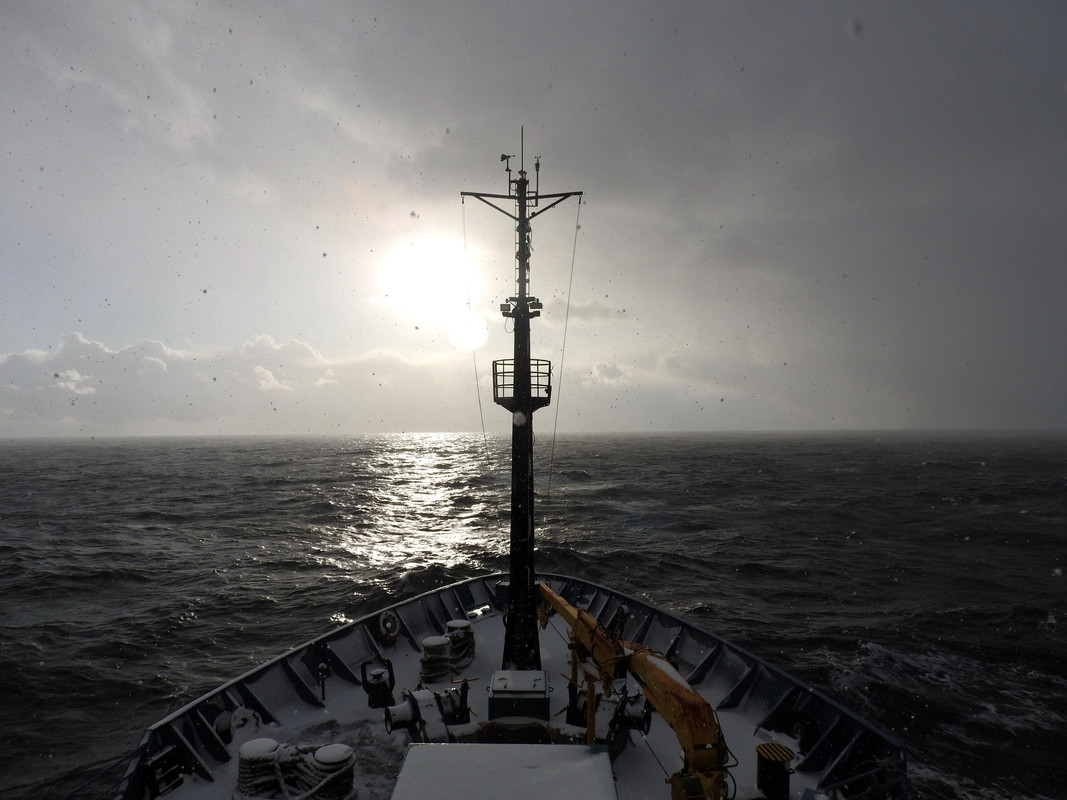 DSCN5974.jpg