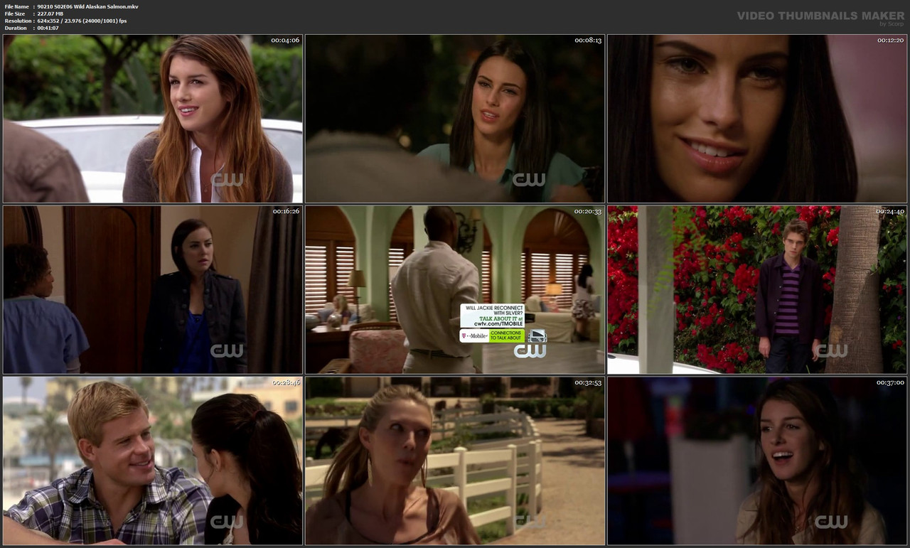 90210 S02E06 Wild Alaskan Salmon.mkv