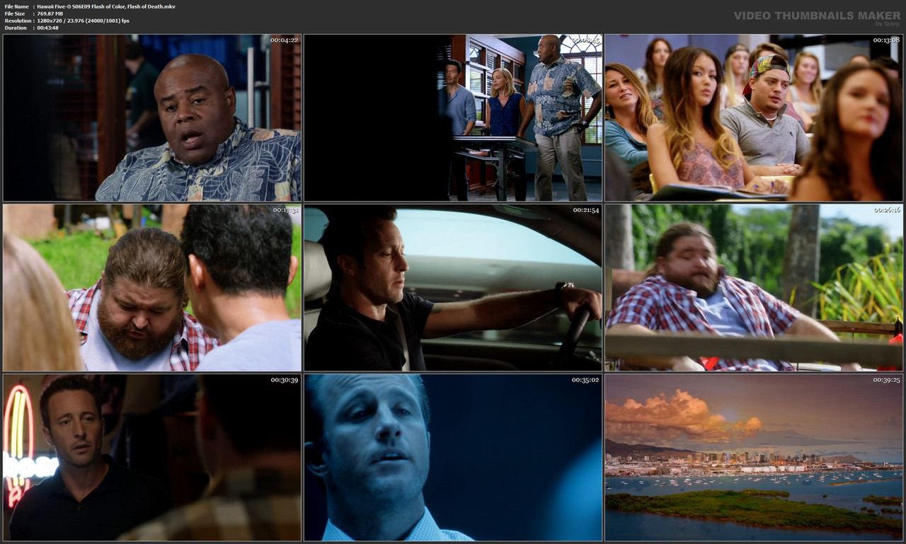 Hawaii Five-O S06E09 Flash of Color, Flash of Death.mkv