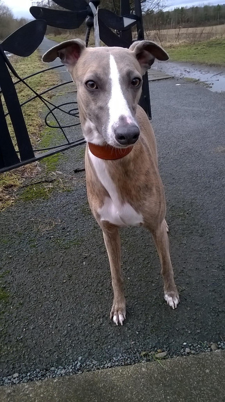 54E1E5FE-4B2F-41DE-94A3-E2C2A05F6921