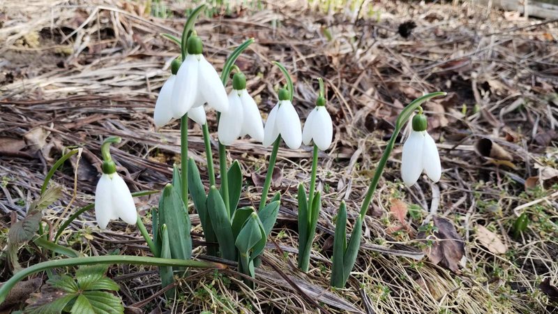 изображение_viber_2024-02-14_11-34-58-117