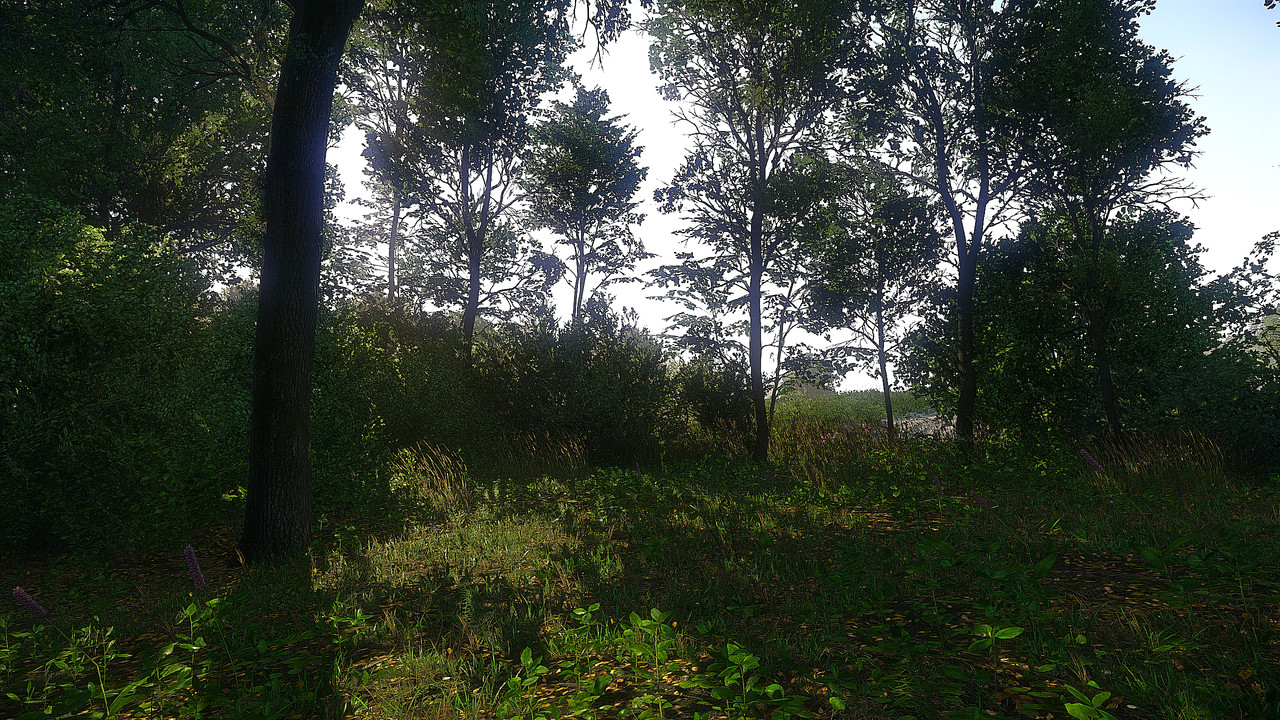 Kingdom Come  Deliverance Screenshot 2018.10.06 - 18.24.40.29