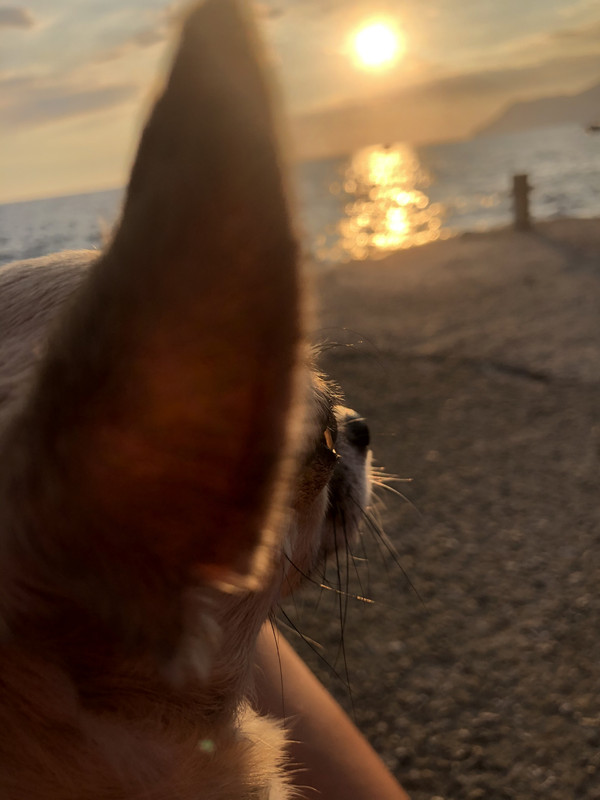 8B8DF7DE-C948-470D-87E8-8F1C0F5024FC